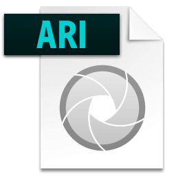 ari file icon