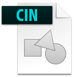 cin file icon