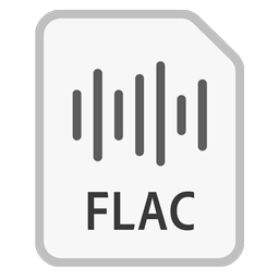 flac file icon