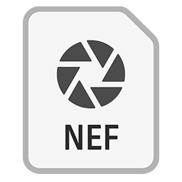 nef file icon