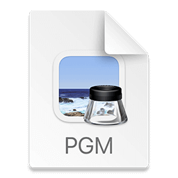 pgm file icon