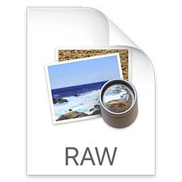 raw file icon