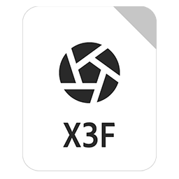 x3f file icon