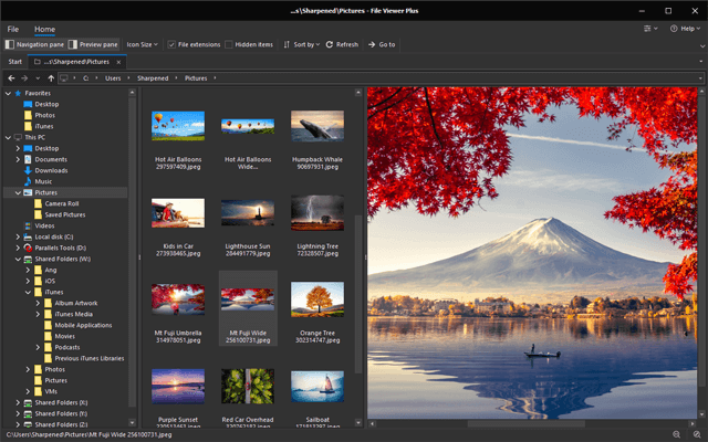 File Viewer Plus - The All-In-One Tool for Business