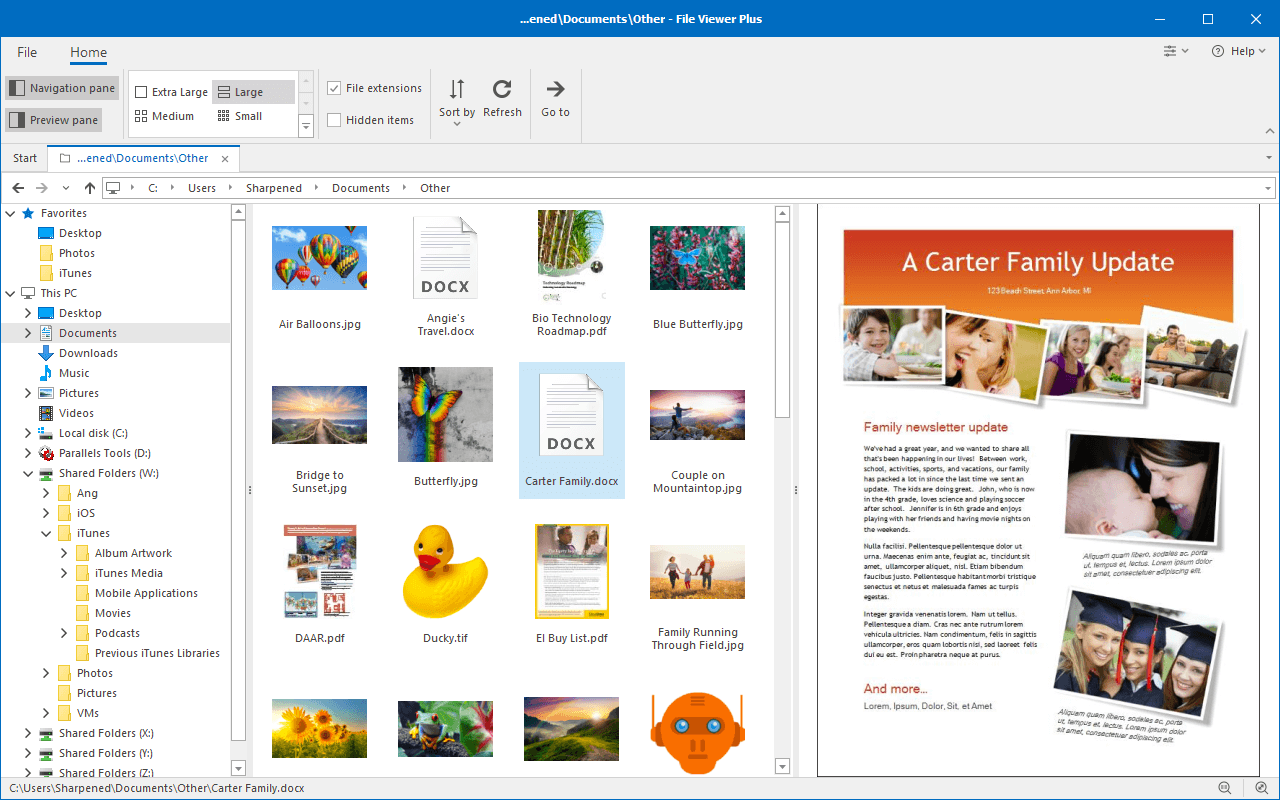 File Viewer Plus File Browser Document Preview