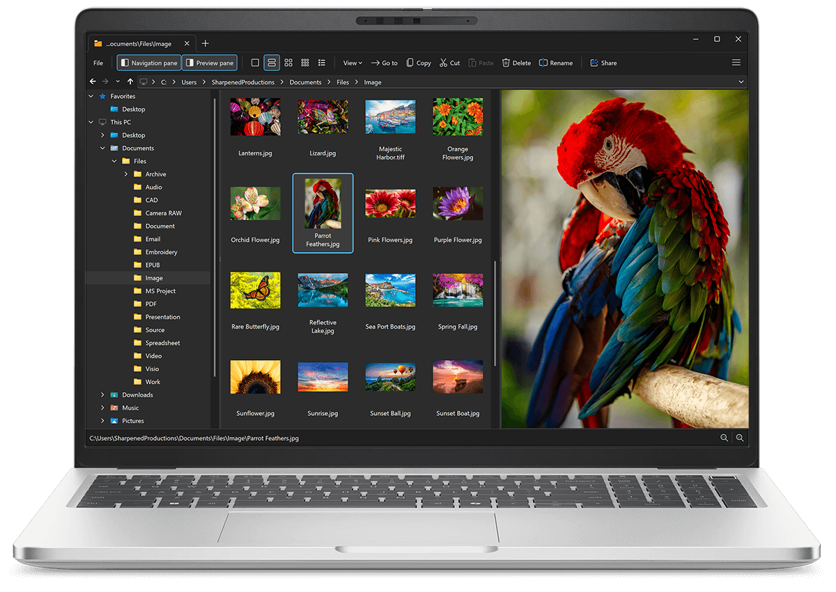 File Viewer Plus Document Manager