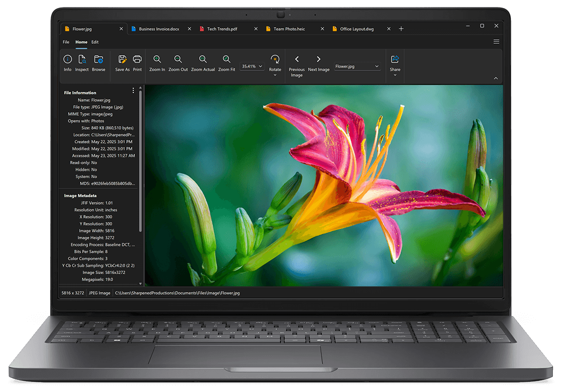 File Viewer Plus PDF to Office Converter