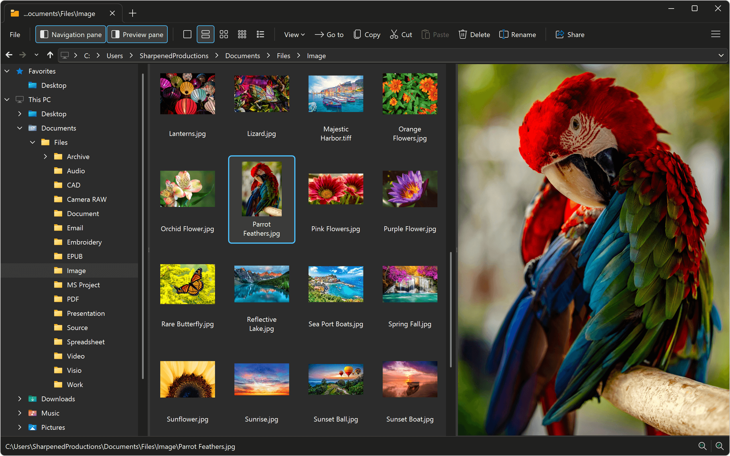Open AVIF Files With File Viewer Plus