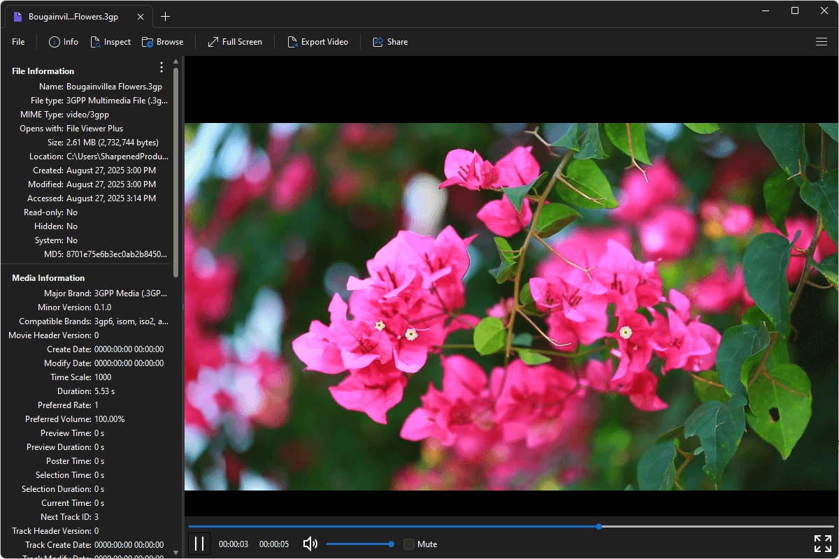 3GP file open in File Viewer Plus 6