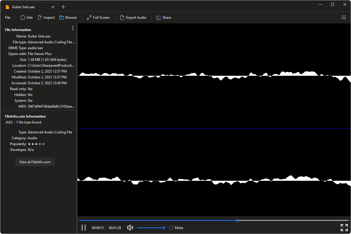 AAC file open in File Viewer Plus 6