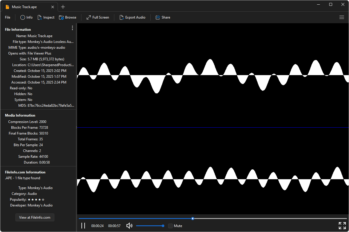 APE file open in File Viewer Plus 6