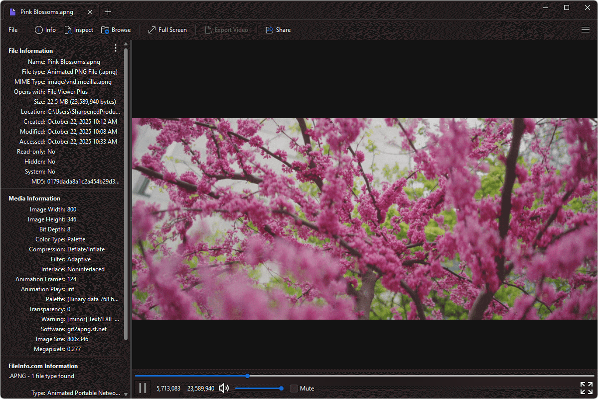 APNG file open in File Viewer Plus 6