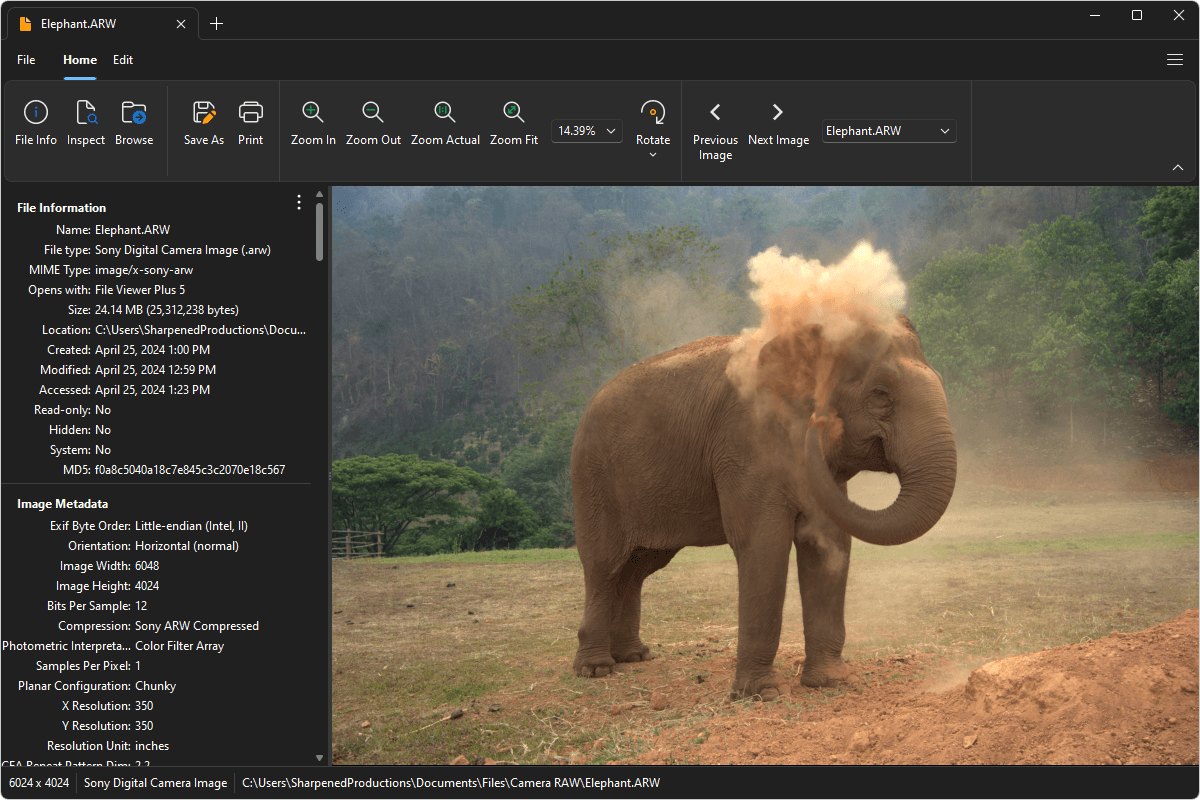 ARW file open in File Viewer Plus 4