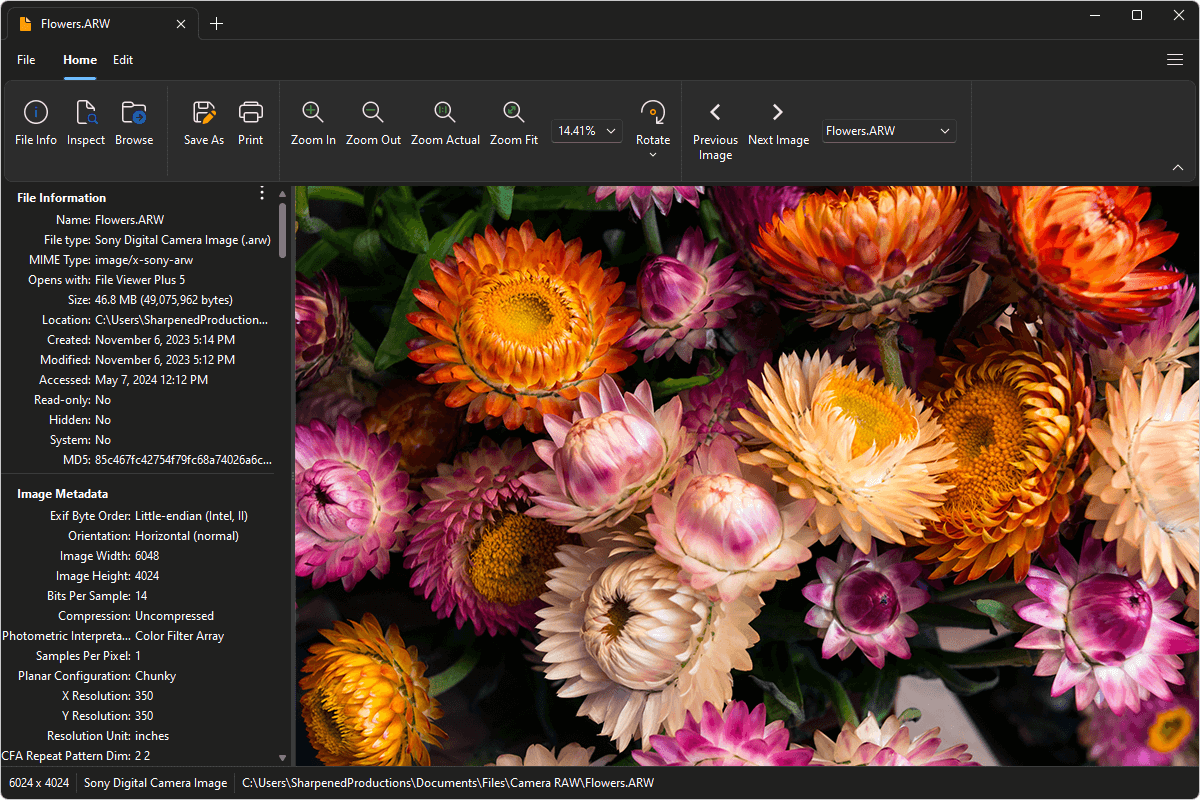 sony raw file converter for lightroom