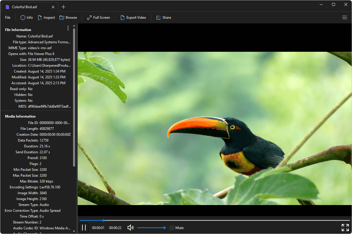 ASF file open in File Viewer Plus 6