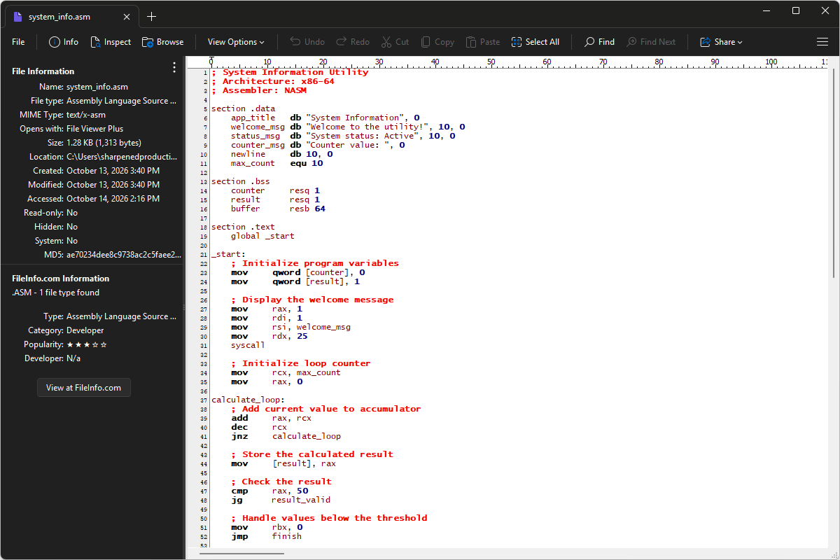 ASM file open in File Viewer Plus 6