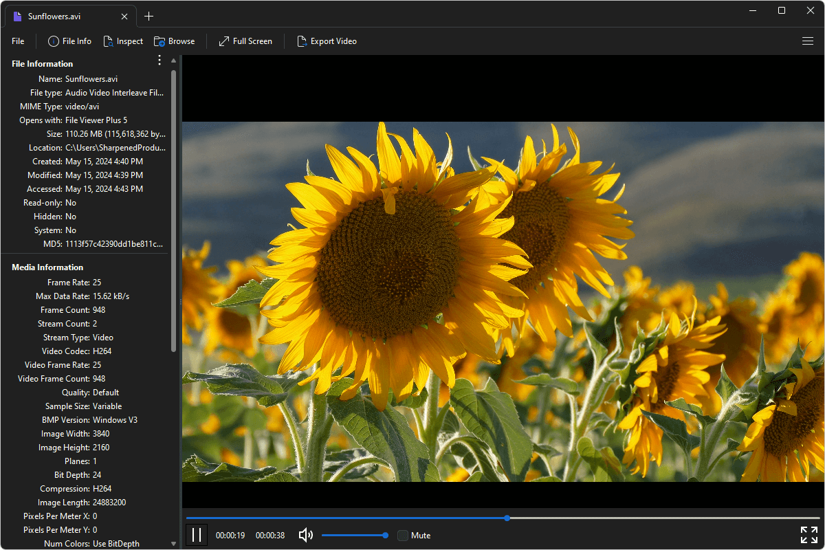 AVI file open in File Viewer Plus 4