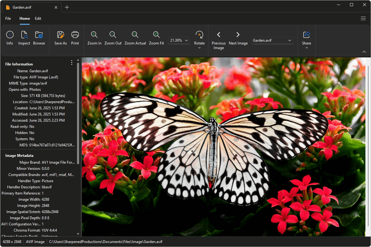 AVIF file open in File Viewer Plus 6