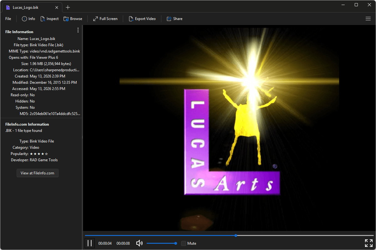 BIK file open in File Viewer Plus 6