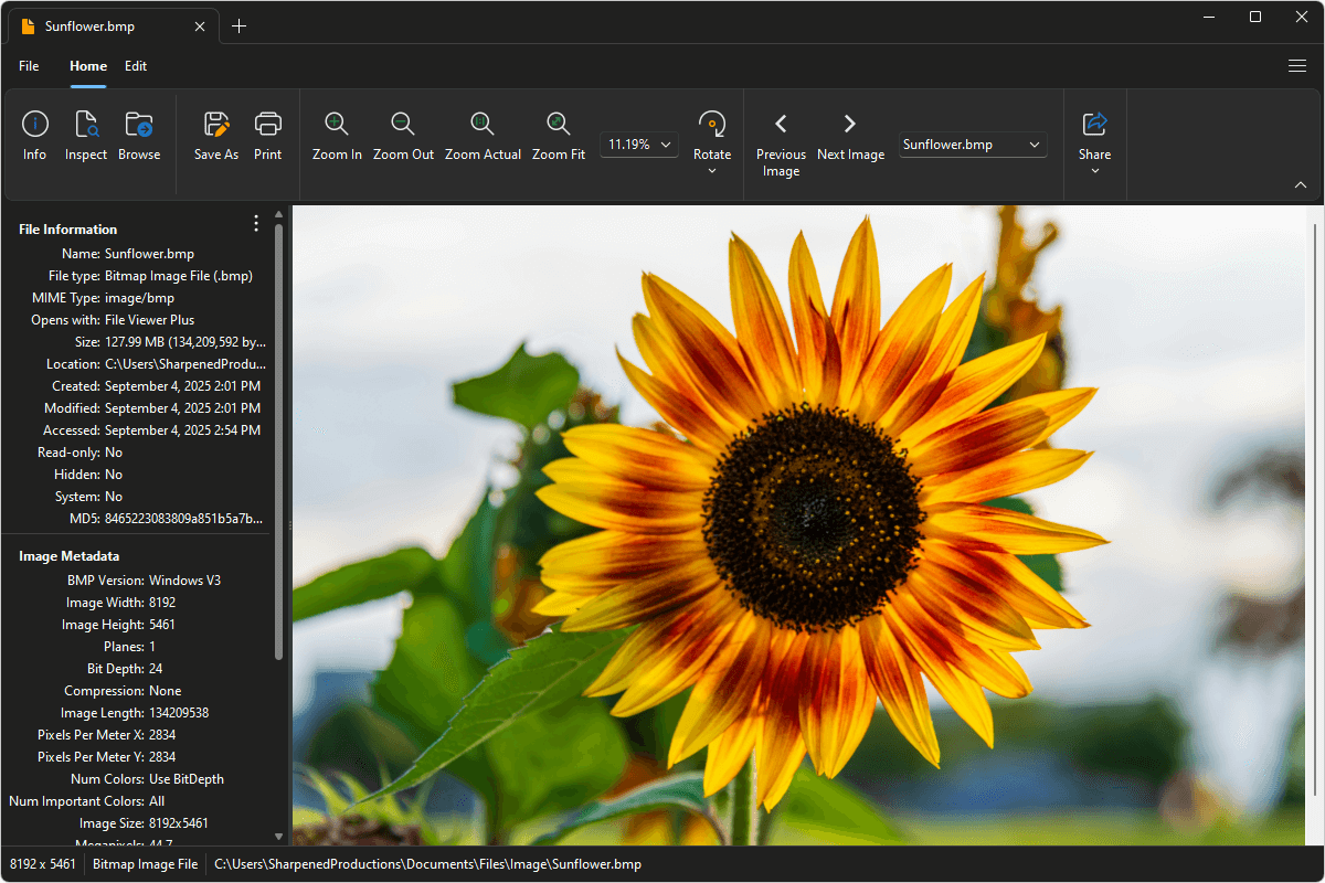 BMP file open in File Viewer Plus 6