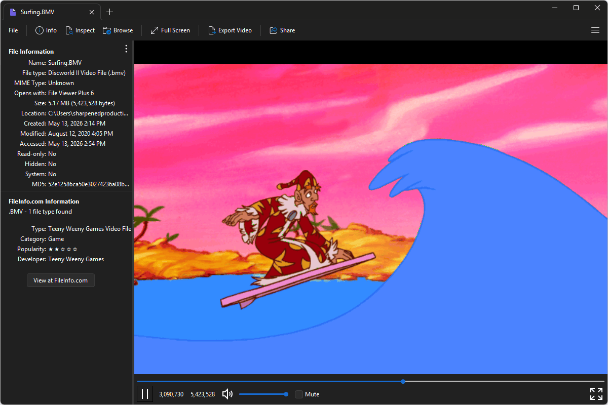 BMV file open in File Viewer Plus 6