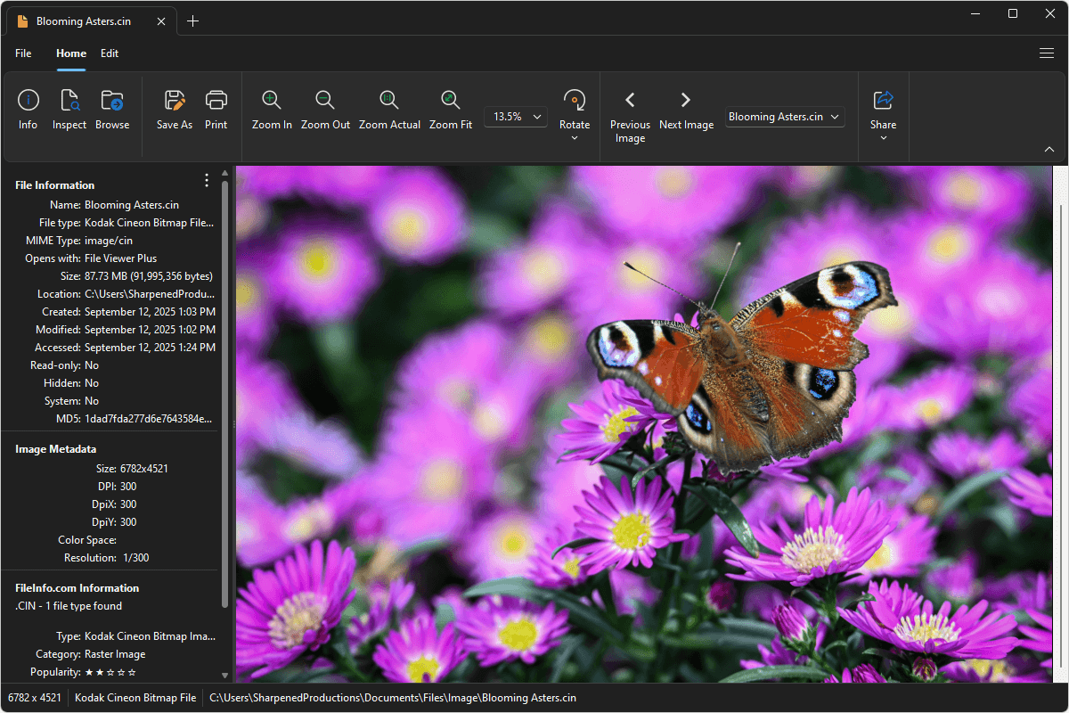 CIN file open in File Viewer Plus 6