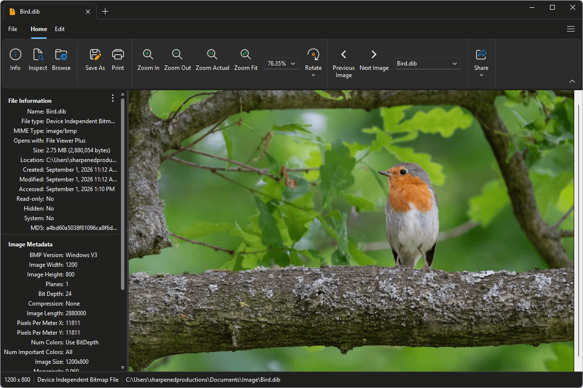 DIB file open in File Viewer Plus 6