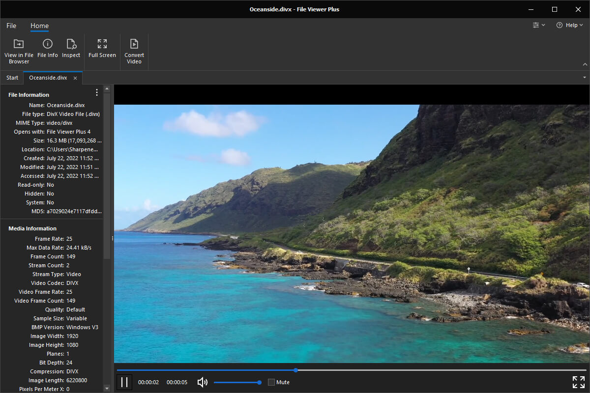 DIVX file open in File Viewer Plus 4