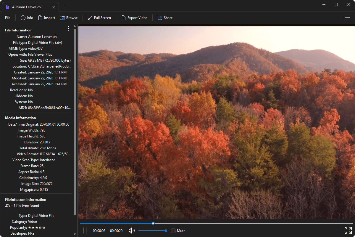 DV file open in File Viewer Plus 6