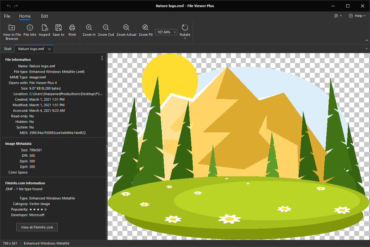 EMF file open in File Viewer Plus 4