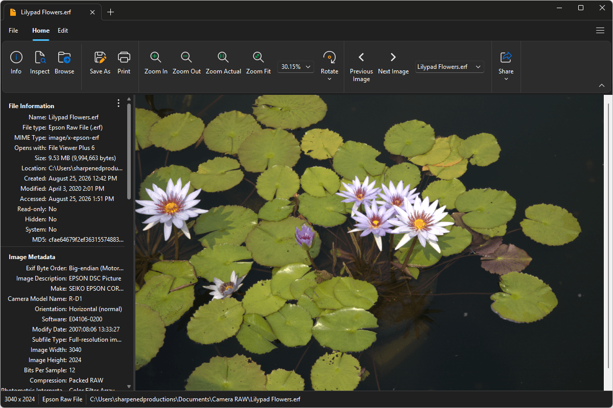 ERF file open in File Viewer Plus 6