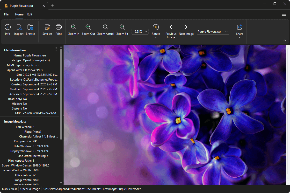 EXR file open in File Viewer Plus 6