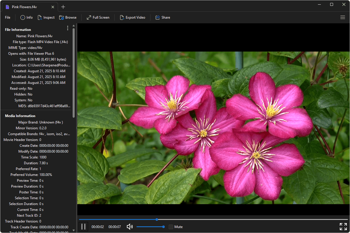 F4V file open in File Viewer Plus 6