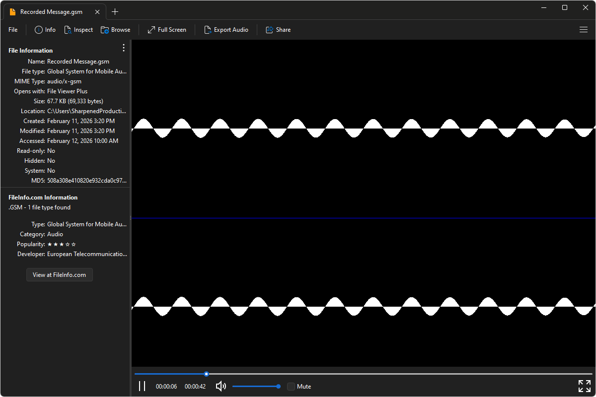 GSM file open in File Viewer Plus 6