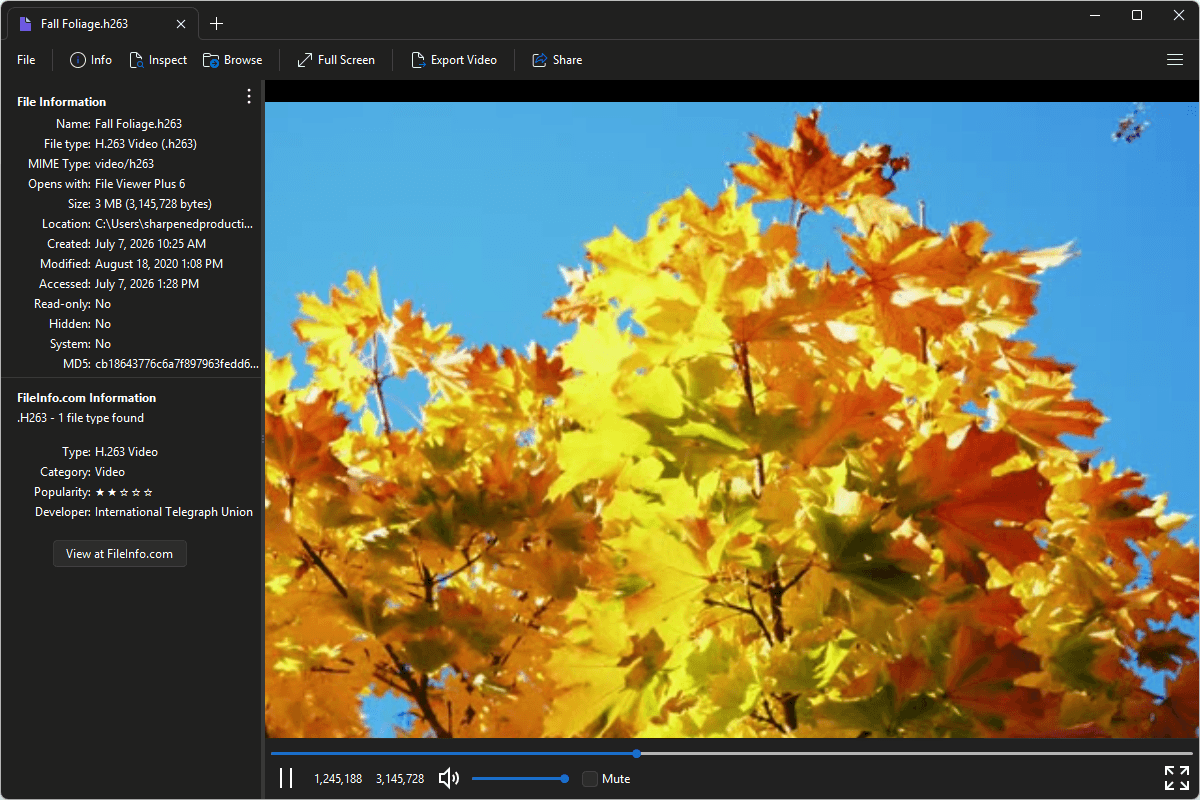 H263 file open in File Viewer Plus 6