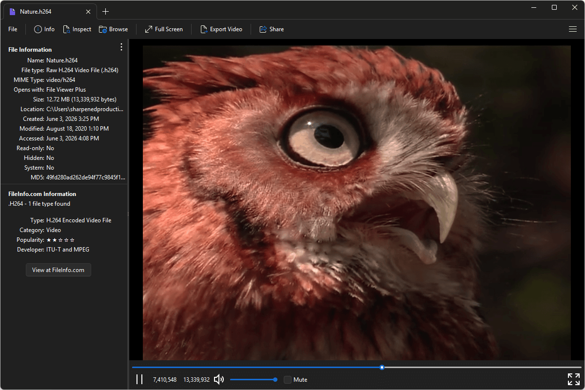 H264 file open in File Viewer Plus 6