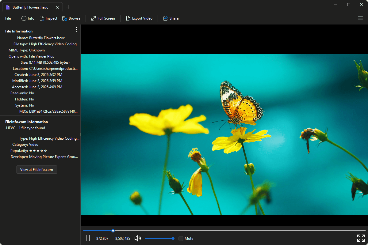 HEVC file open in File Viewer Plus 6