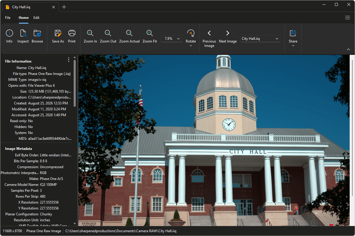 IIQ file open in File Viewer Plus 6