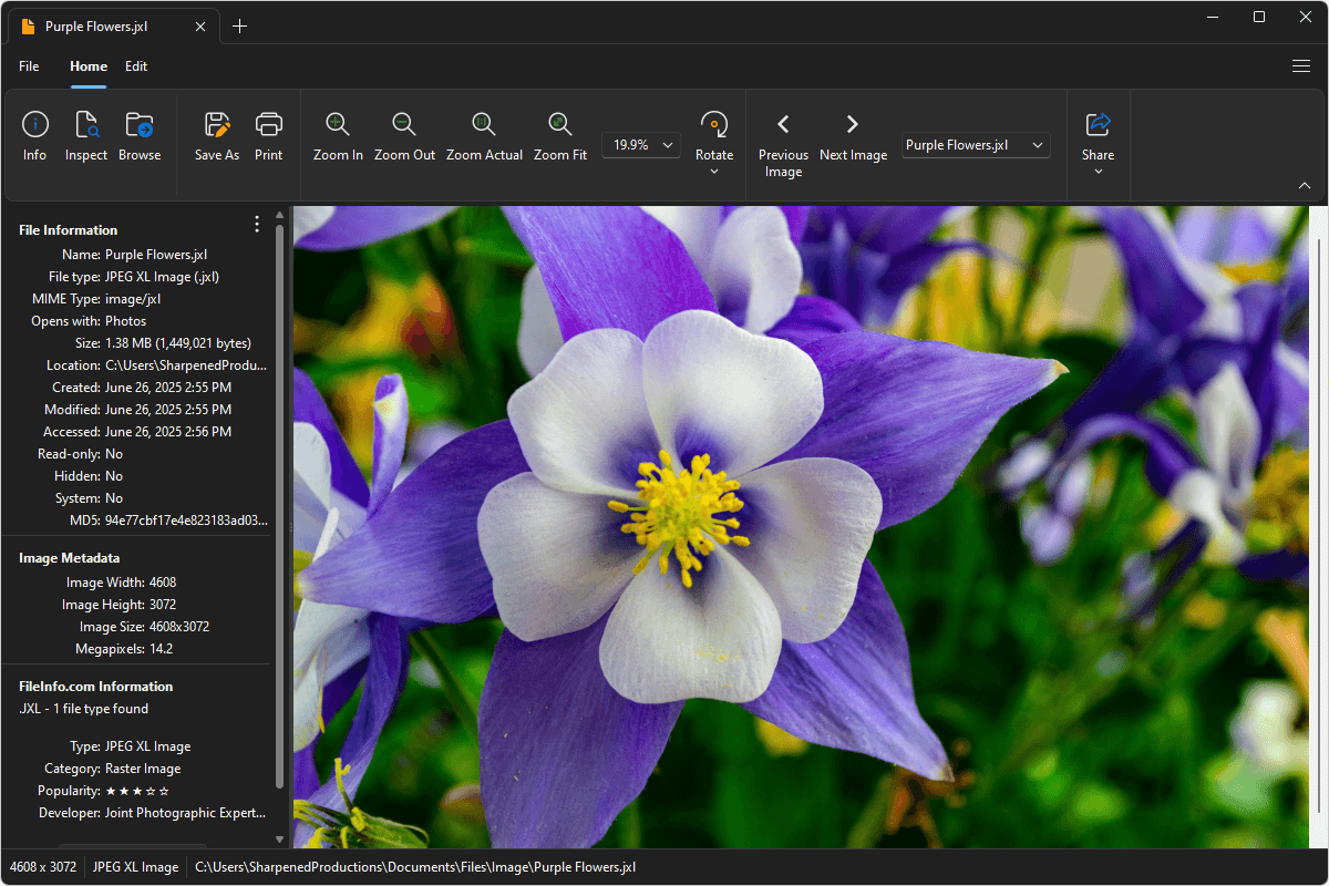 JXL file open in File Viewer Plus 6