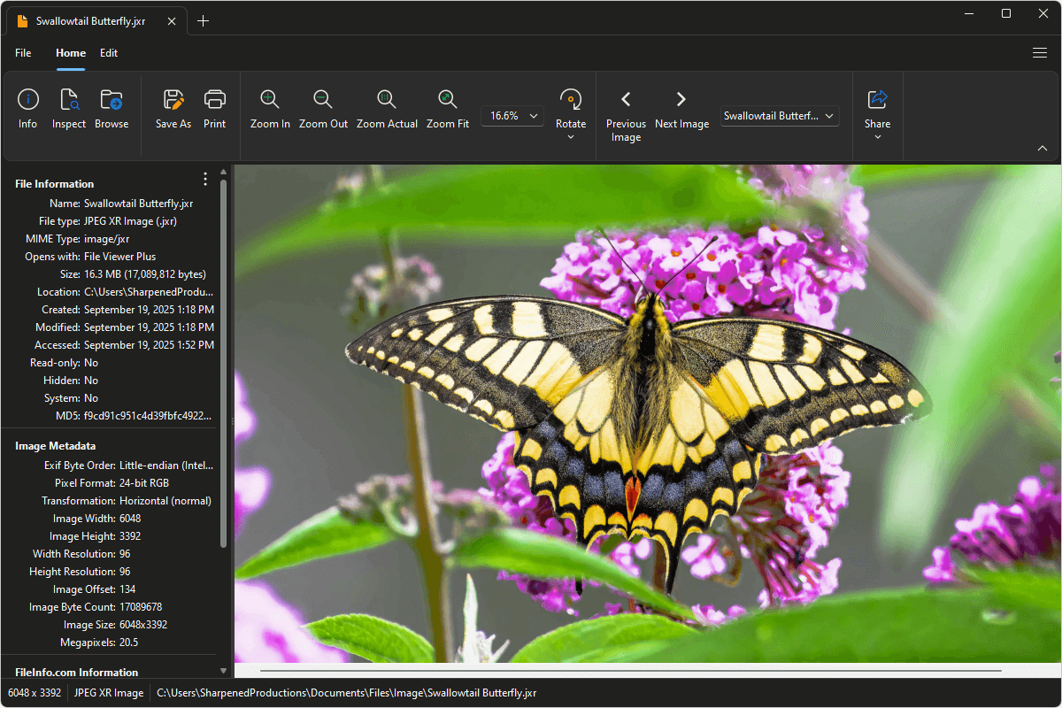 JXR file open in File Viewer Plus 6