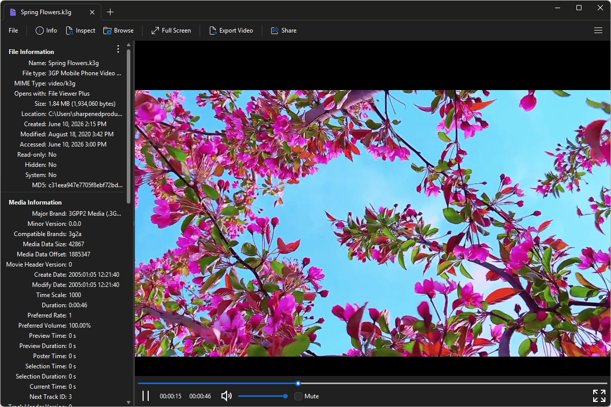 K3G file open in File Viewer Plus 6
