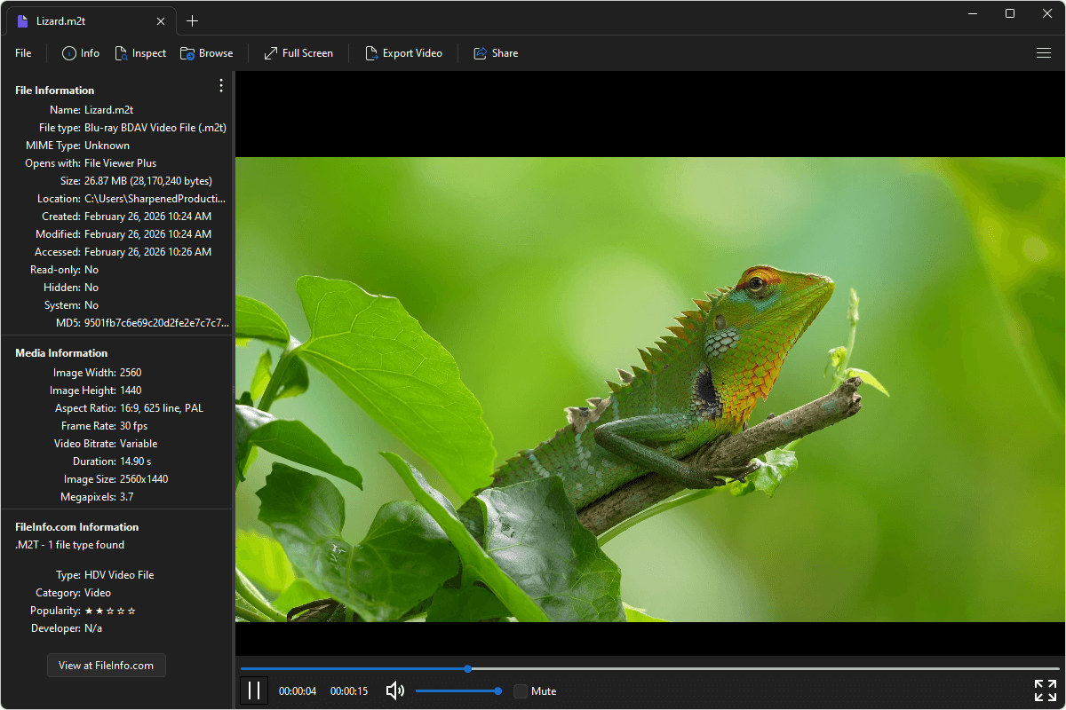M2T file open in File Viewer Plus 6