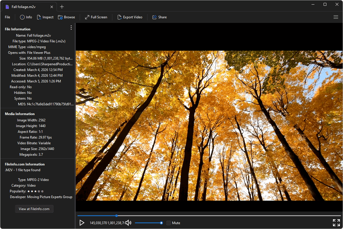 M2V file open in File Viewer Plus 6