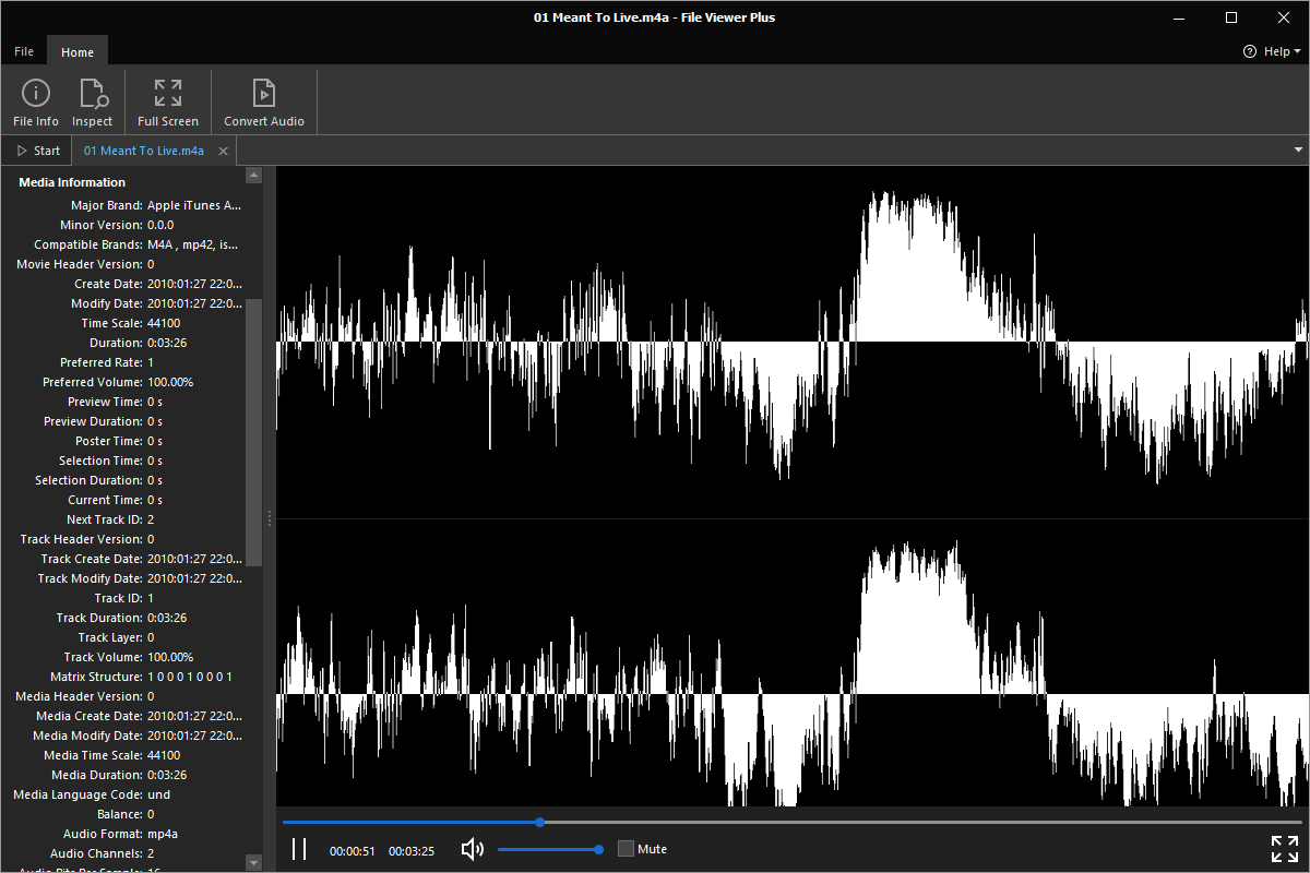 M4A file open in File Viewer Plus 4