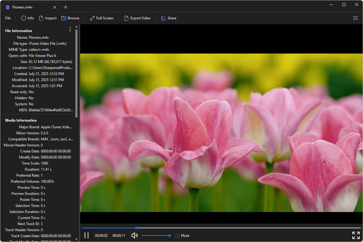 M4V file open in File Viewer Plus 6