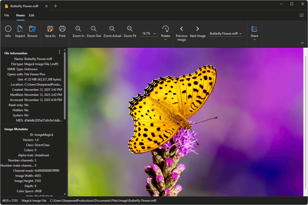 MIFF file open in File Viewer Plus 6