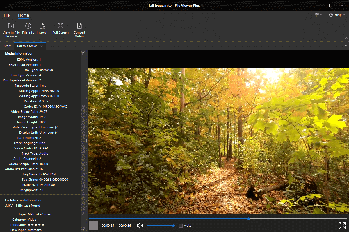 MKV file open in File Viewer Plus 4