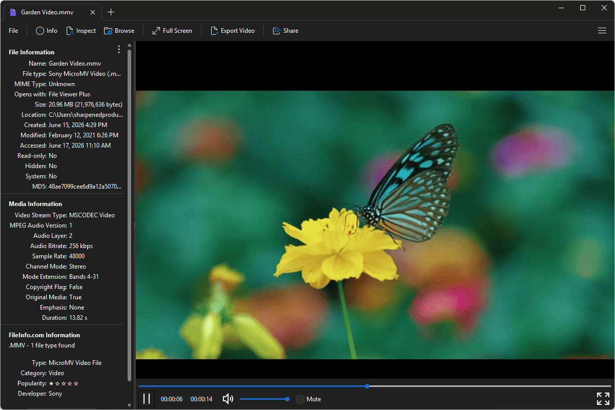 MMV file open in File Viewer Plus 6