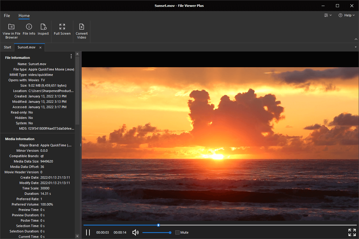 MOV file open in File Viewer Plus 4