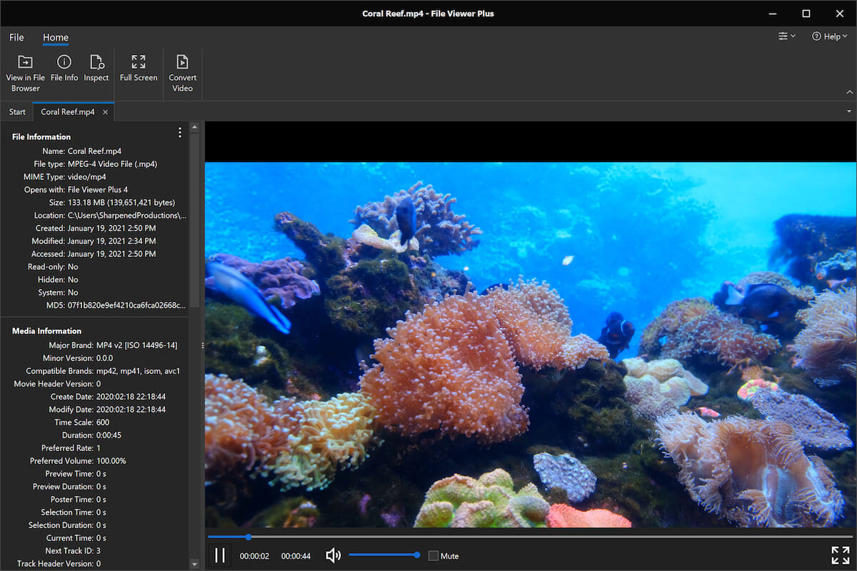 MP4 file open in File Viewer Plus 4